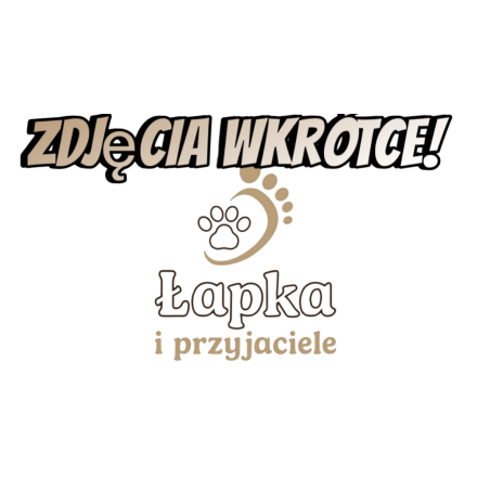 Wiejska zagroda przysmak monobiałkowe kąski 150g | Wiejska zagroda