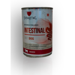 Disugual Veterinary Diet Intestinal Wołowina 400g | Disugual
