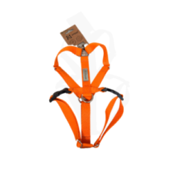 Amiplay Szelki Guard Samba L pomarańczowe | Amiplay