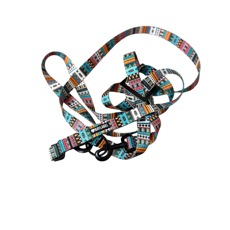 Baylabel Smycz hands free kolorowy wiatr 300cm20mm | Baylabel