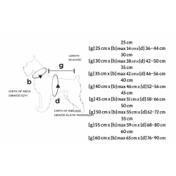 Amiplay Bluza z kapturem Texas 30 cm czerwona | Amiplay