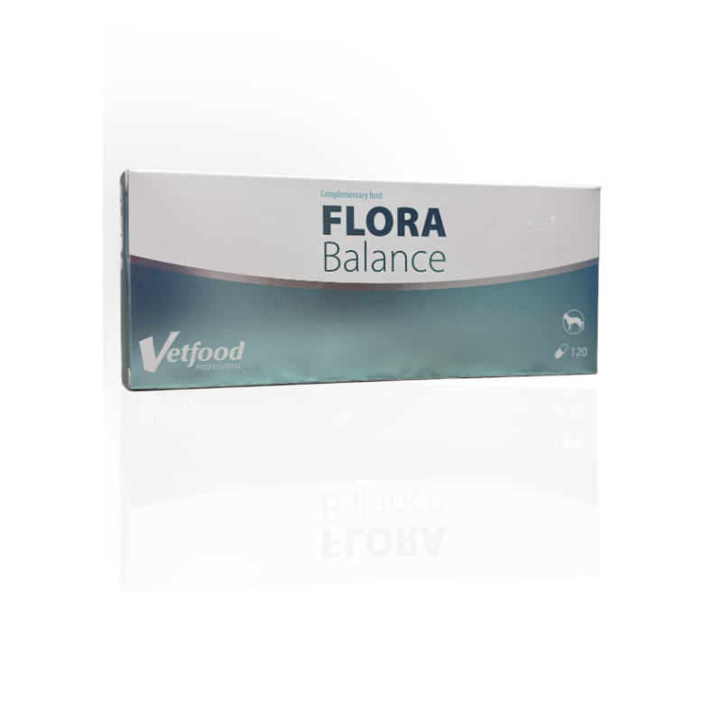 Vetfood Flora balance 20 kapsułek/1blister | Vetfood