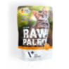 Raw Paleo Kitten Mokra Karma dla Kociąt z Indykiem 100g | mokra karma dla kota