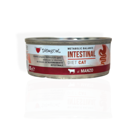 Disugual Vet Cat Intestinal Wołowina 85g | karma weterynaryjna dla kota