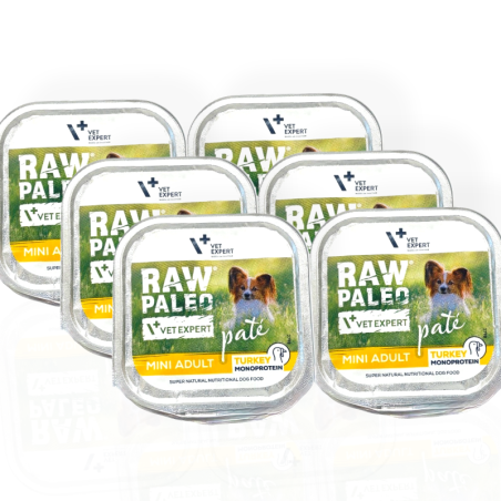 Raw Paleo Mini Adult Pâté Turkey 150g | Mokra karma dla psa