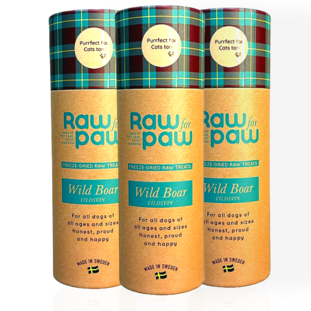 Raw for Paw WILD Boar 45 g | Przysmaki