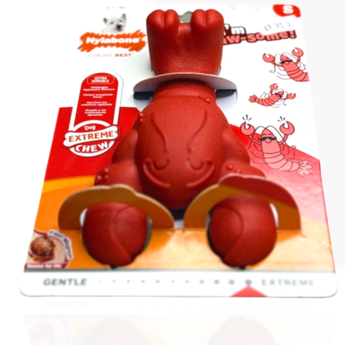Nylabone Gryzak Nylabone Lobster S | Sklep zoo