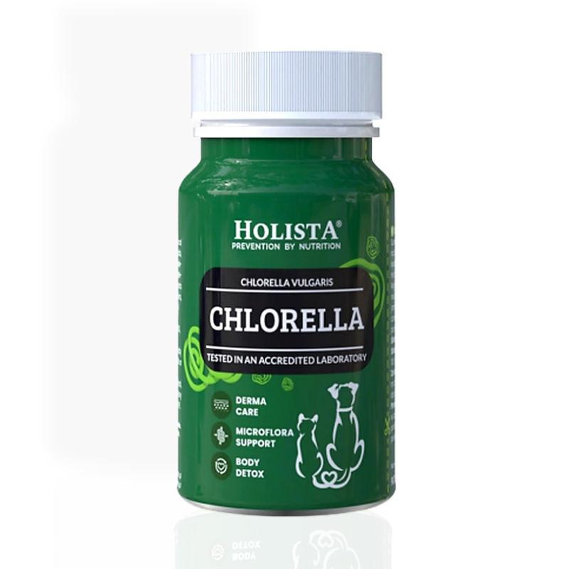Holista Chlorella 90 tab. | suplement dla psa i kota