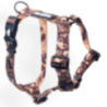Baylabel Sweater Weather szelki guard M 40mm | Szelki