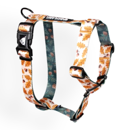 Baylabel Amber Autumn szelki guard S 20mm | Szelki