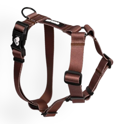 Baylabel Espresso szelki guard M 25mm | Szelki