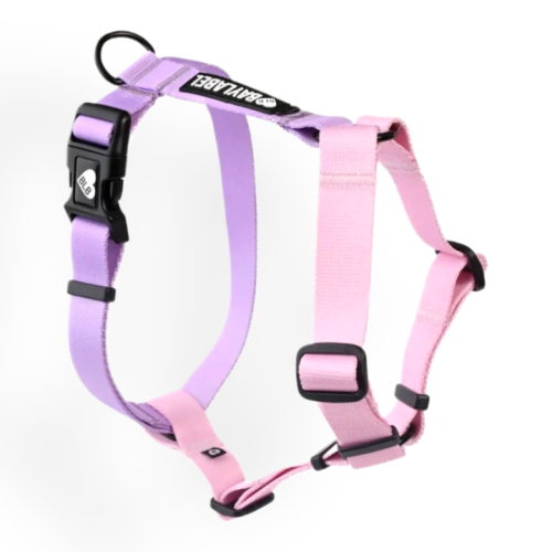 Baylabel Mix Pastelove szelki guard XS 15mm | Szelki