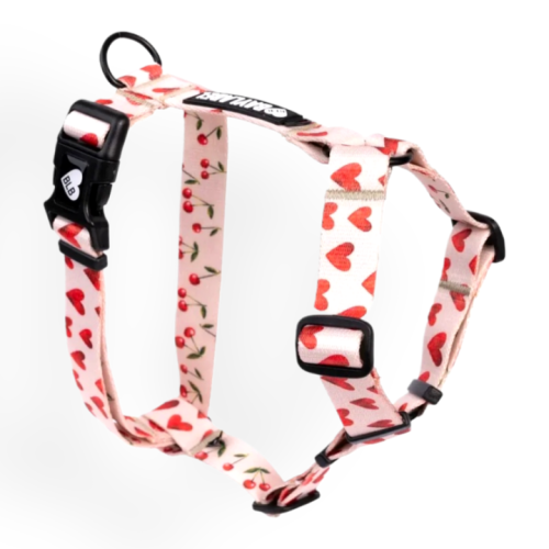 Baylabel Mon Amour szelki guard M 25mm | Szelki