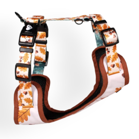 Baylabel Amber Autumn szelki bezuciskowe S | Szelki