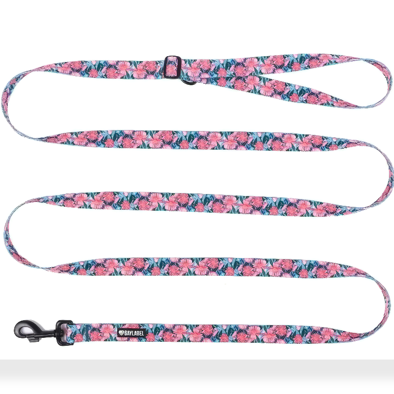 Baylabel Very Gerbery smycz hands free 300 x 15mm | Smycze