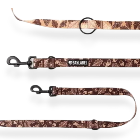Baylabel Very Gerbery smycz hands free 300 x 20mm | Smycze
