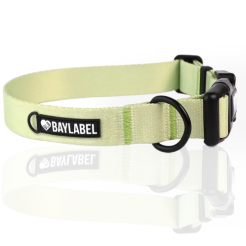Baylabel Tasty Matcha obroża XL 40mm | Obroże