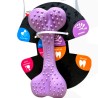 Comfy Dental Bone Lavender Kość Dentystyczna o Zapachu Lawendy 16,5cm | zabawka dla psa