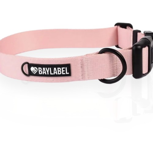 Baylabel Obroża Vanilla Beige M 30mm | obroża dla psa