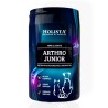 Holista Arthro Junior Stawy 200g | suplement dla kota
