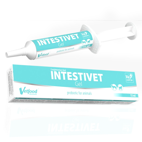 Vetfood Intestivet Gel 15ml | Żel probiotyczny dla psa i kota