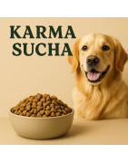 Sucha karma dla psa – Najlepsze marki premium | Łapka i Przyjaciele