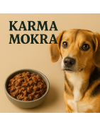 Mokra karma dla psa