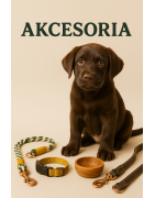 Akcesoria