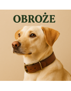Obroże dla psa