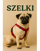 rgonomiczne szelki dla psa – Bezuciskowe i guardy | Łapka i Przyjaciele