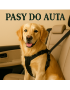 Pasy do auta