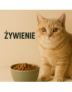 Żywienie