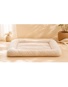 Dry Bed